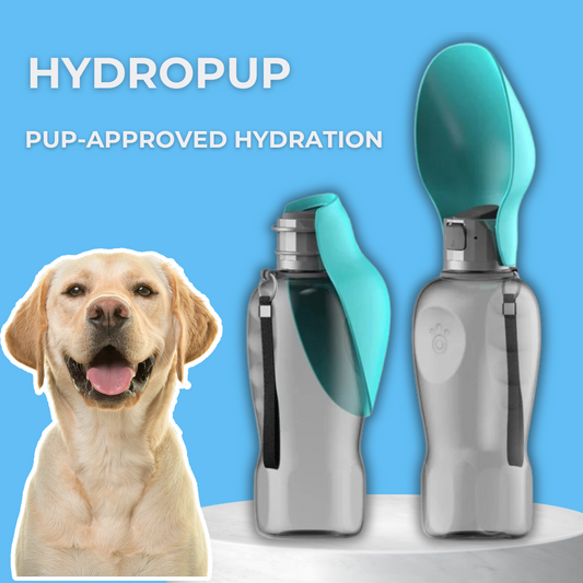 HydroPup 800ml Portable Water Bottle - Sorvento