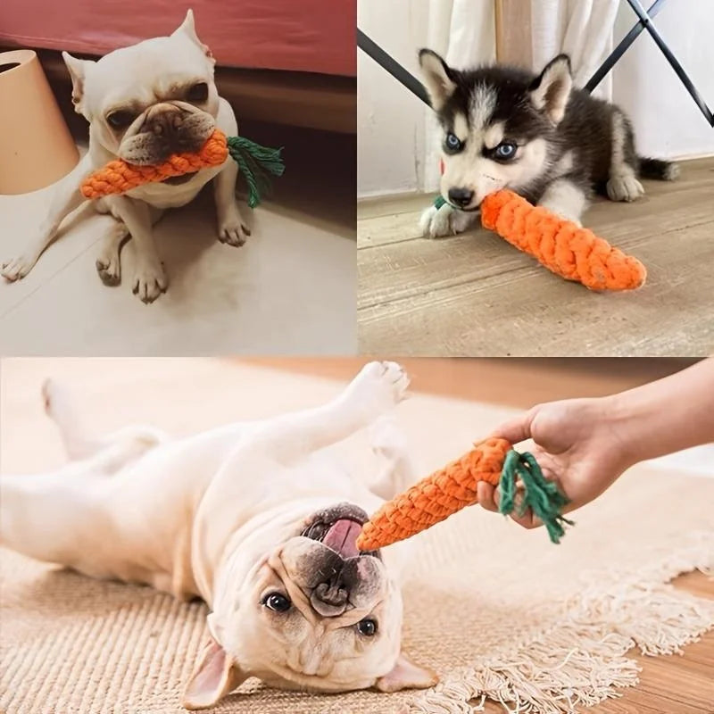 NibbleCarrot - Interactive Chew Toy - Sorvento