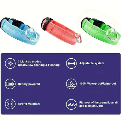 NiteBrite LED Collar - Sorvento