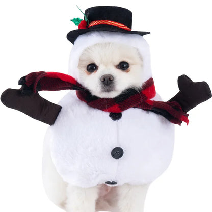 SpookyPaws - Festive Pet Costumes - Sorvento