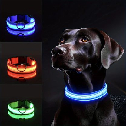 NiteBrite LED Collar - Sorvento