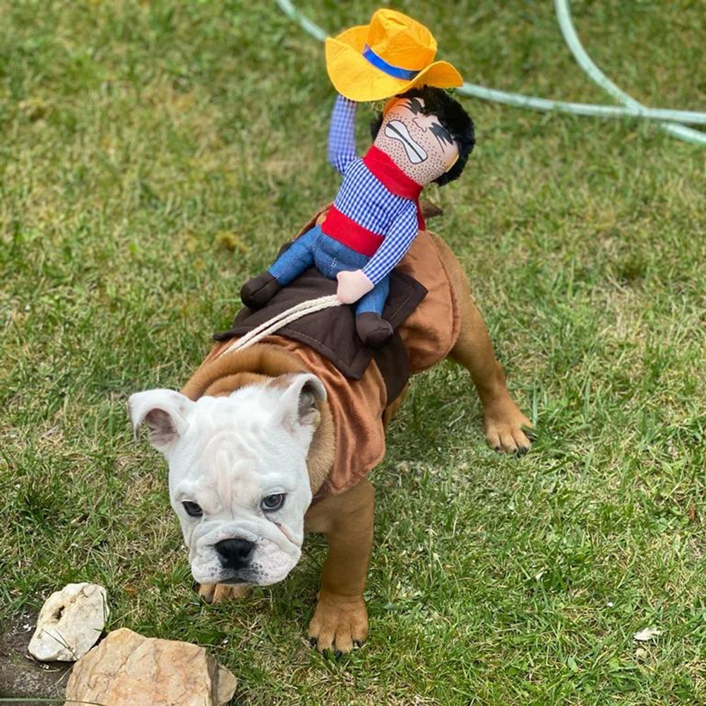 PupRodeo - Playful Cowboy Costume For Pets - Sorvento