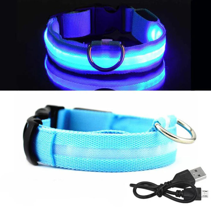 NiteBrite LED Collar - Sorvento