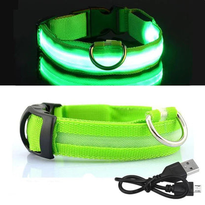 NiteBrite LED Collar - Sorvento