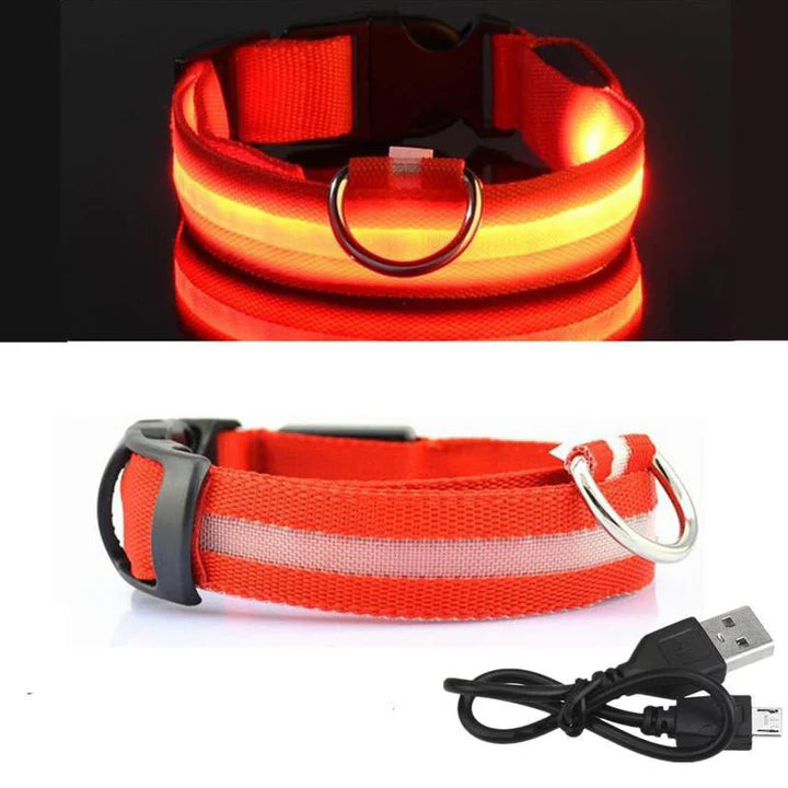 NiteBrite LED Collar - Sorvento