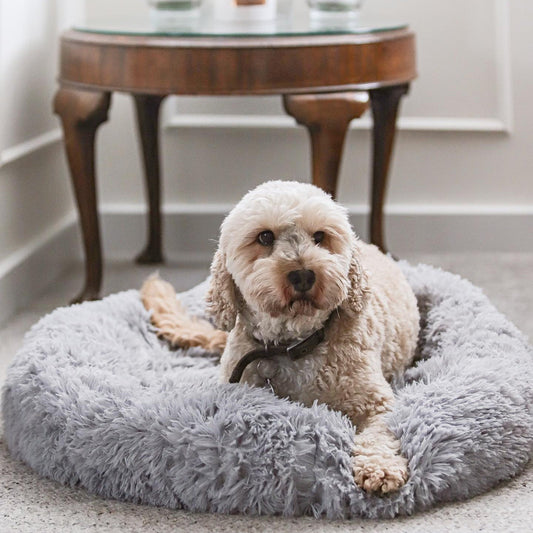 DreamWeaver Donut Bed - The Ultimate Pet Bed - Sorvento